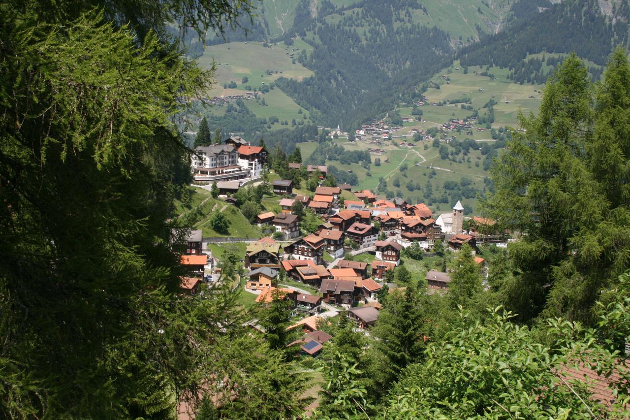 The Alpina Mountain Resort ทีแอร์ทสเชิน ภายนอก รูปภาพ